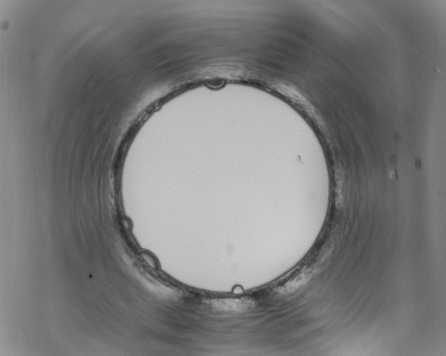 X0000067950439200605112129