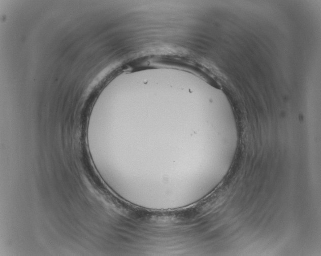 X0000067950440200605112129