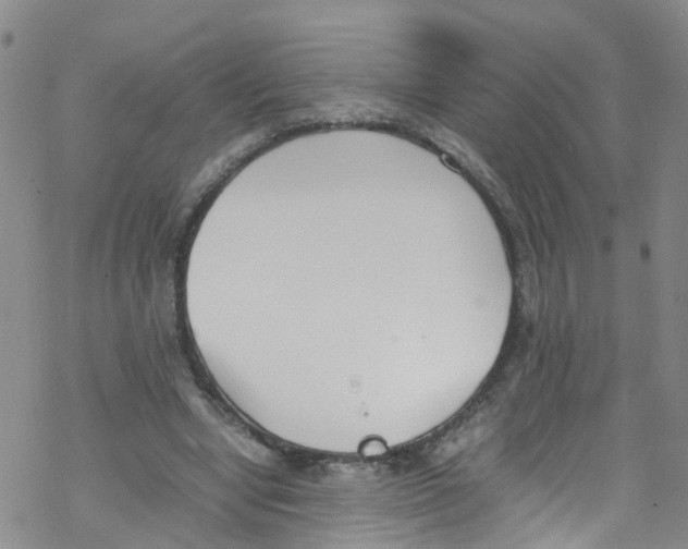 X0000067950442200605112129