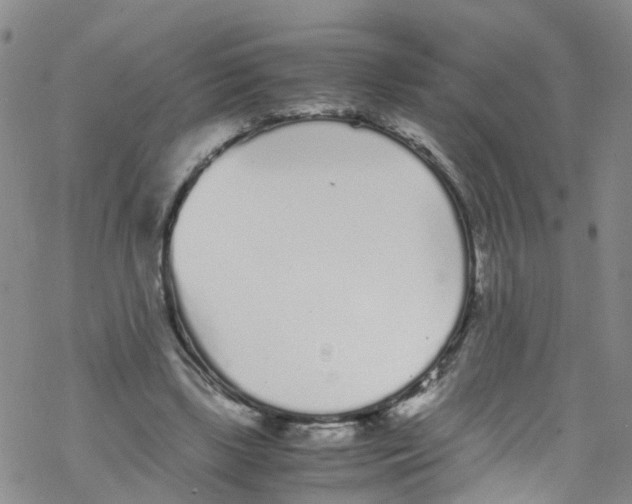 X0000067950443200605112129