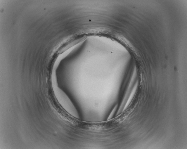 X0000067950444200605112129