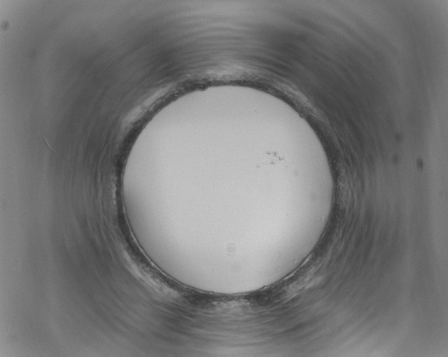 X0000067950446200605112129