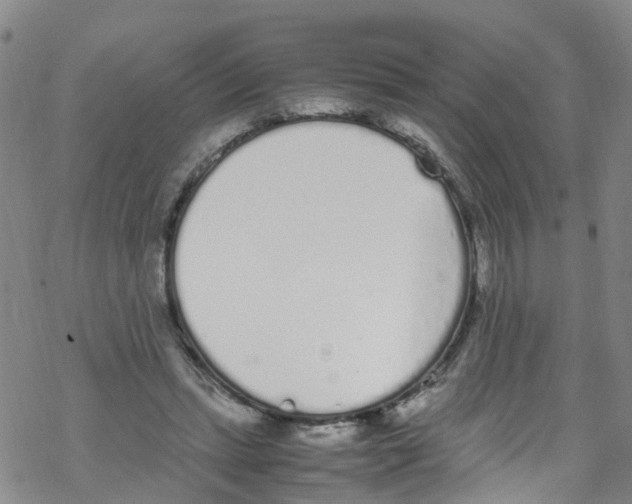 X0000067950447200605112129