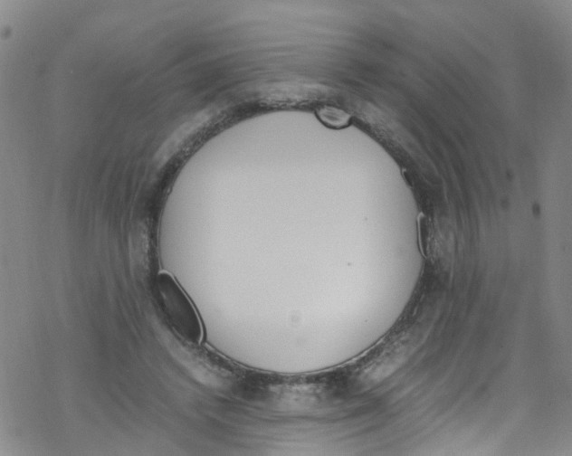 X0000067950448200605112129