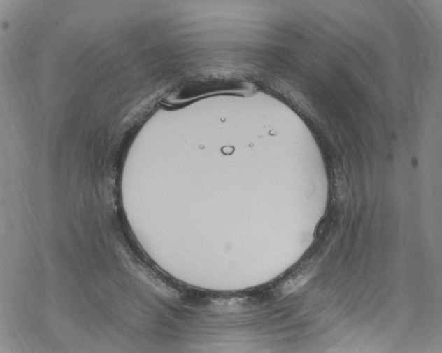 X0000067950450200605112129