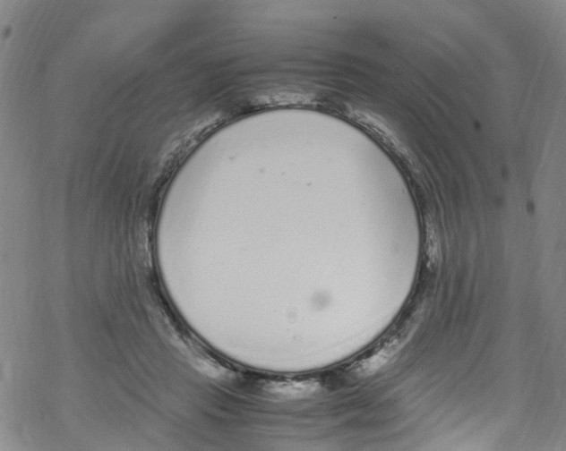 X0000067950453200605112130