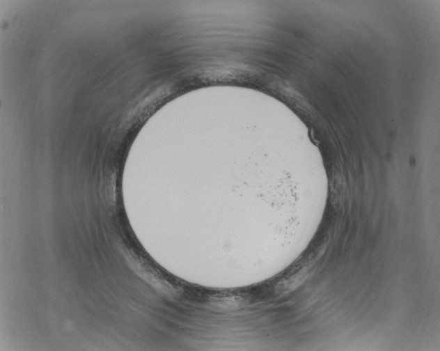 X0000067950454200605112130