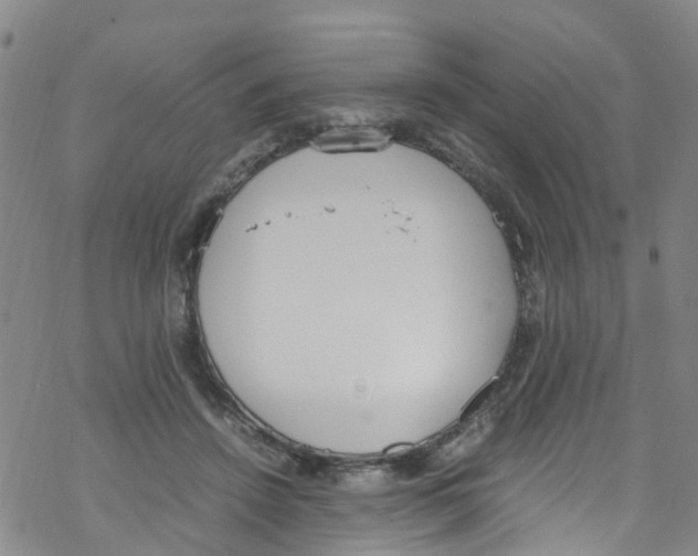 X0000067950456200605112130