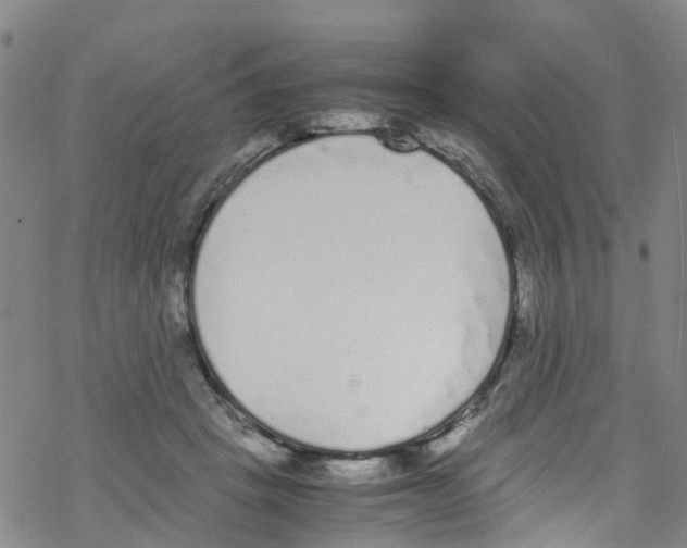 X0000067950457200605112130