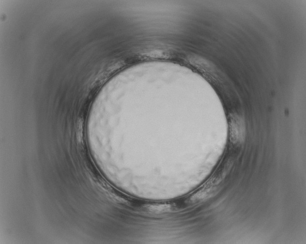 X0000067950458200605112130