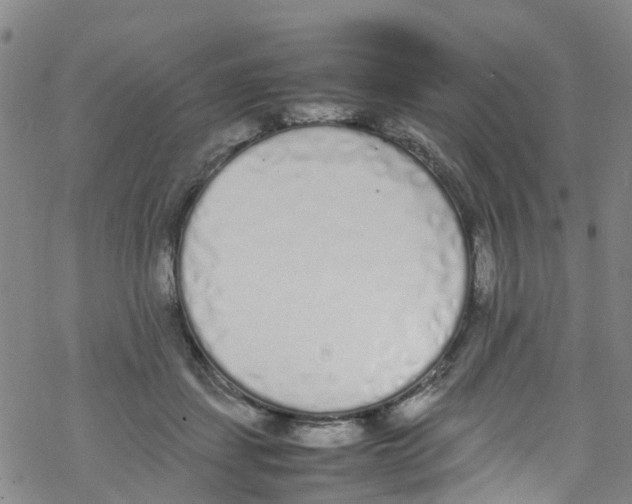 X0000067950459200605112130