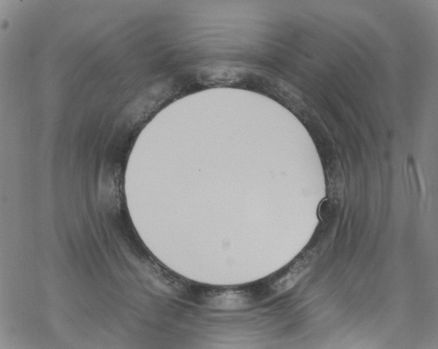 X0000067950460200605112130