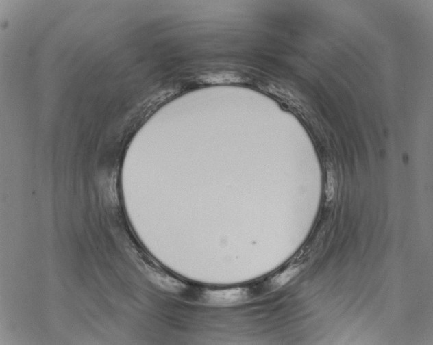 X0000067950461200605112130