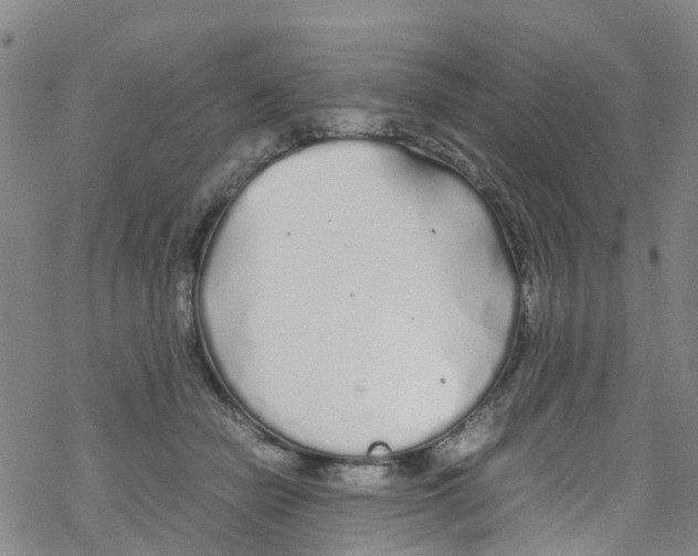 X0000067950462200605112130