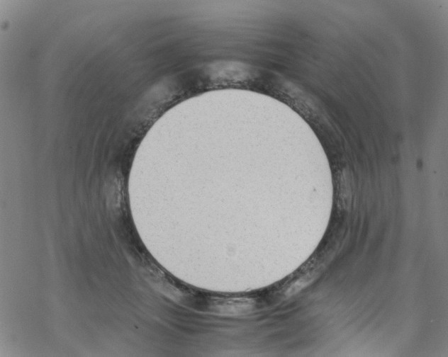 X0000067950463200605112130