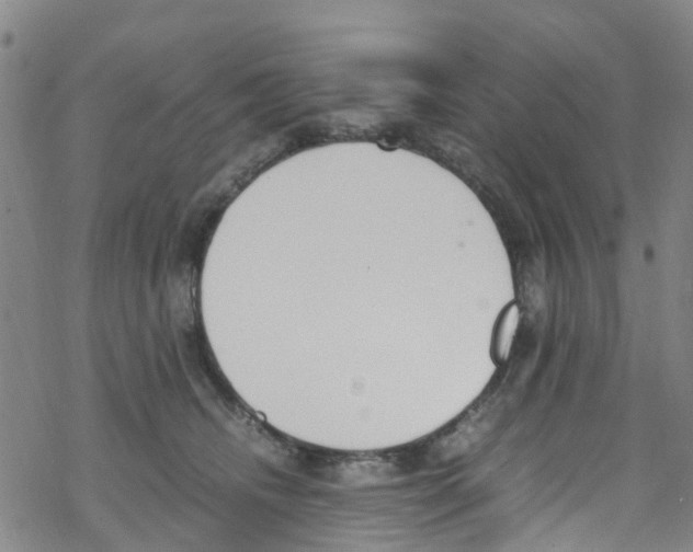 X0000067950468200605112130