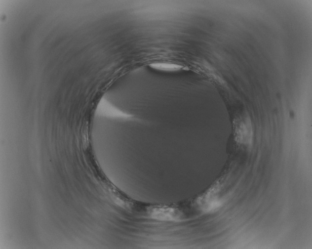 X0000067950471200605112130