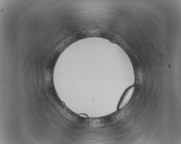 X0000067950472200605112130