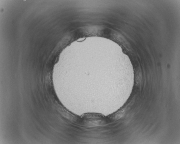 X0000067950473200605112130