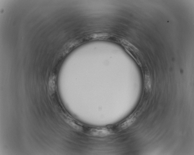 X0000067950475200605112130