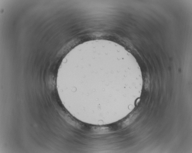 X0000067950476200605112130