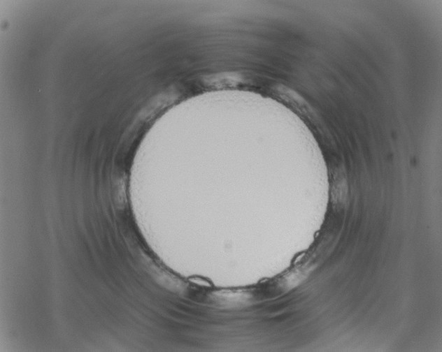 X0000067950477200605112130