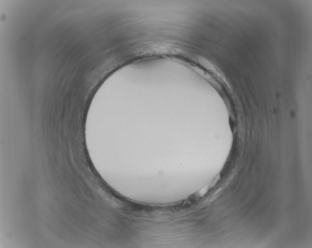 X0000067950481200605112129