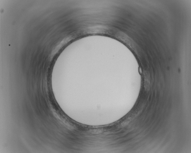 X0000067950482200605112129