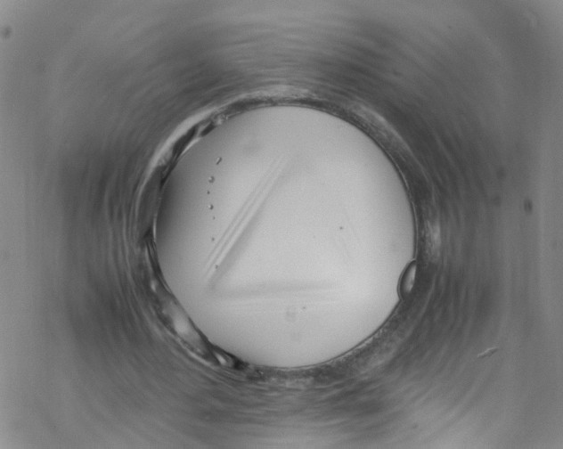 X0000067950484200605112129