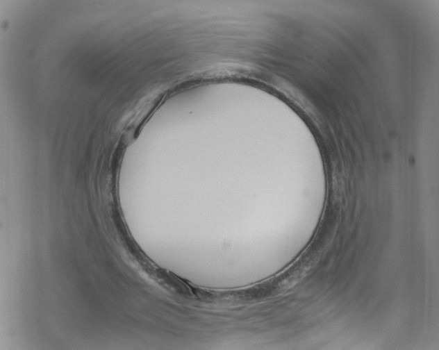 X0000067950485200605112129