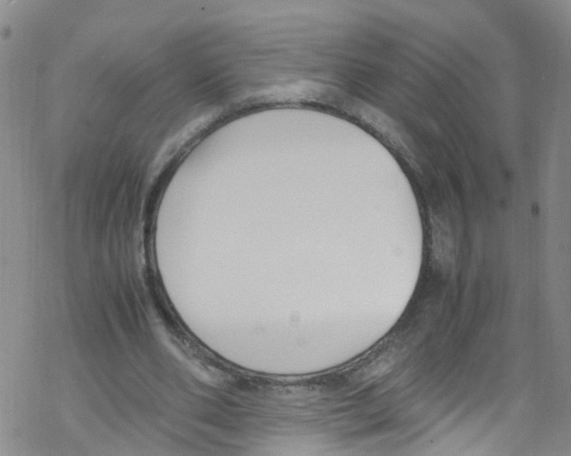 X0000067950486200605112129