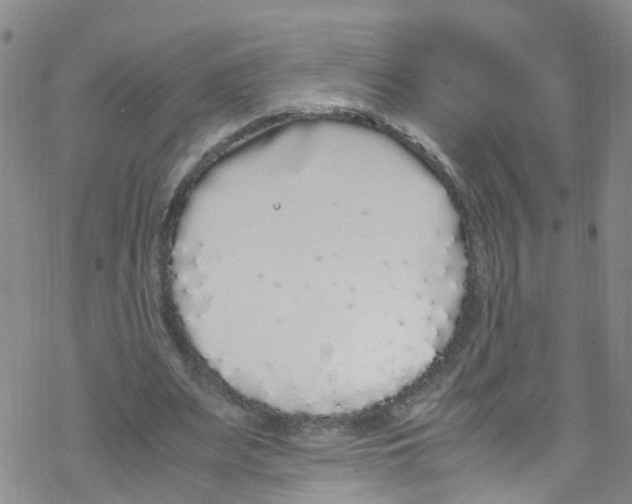 X0000067950487200605112129