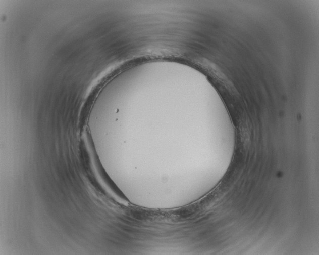 X0000067950488200605112129