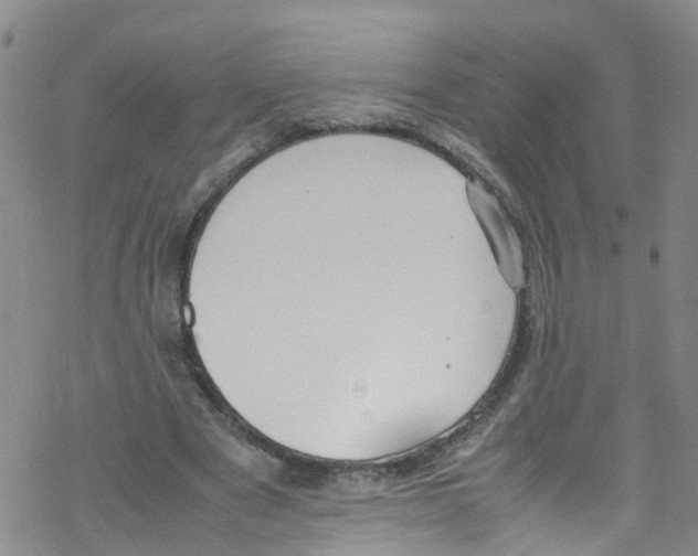 X0000067950489200605112129