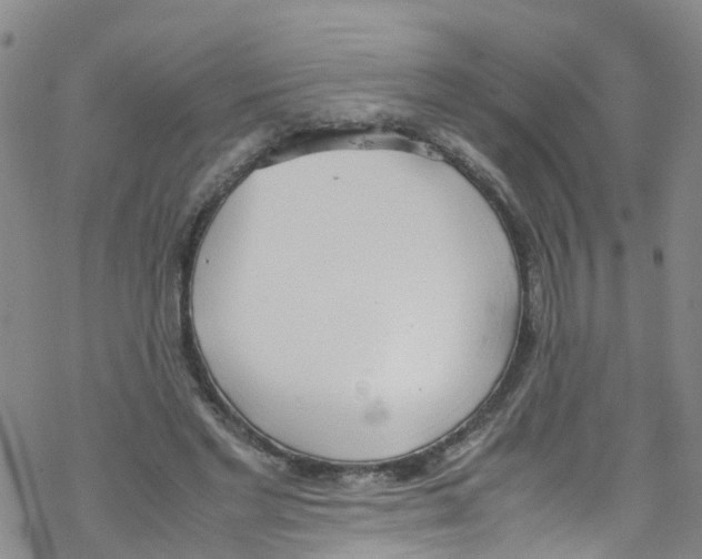 X0000067950493200605112129