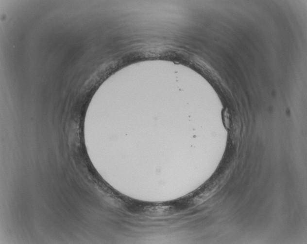 X0000067950497200605112129