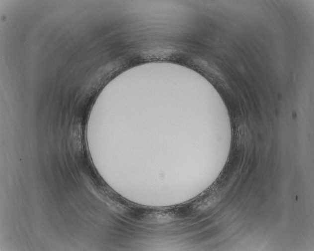 X0000067950498200605112129