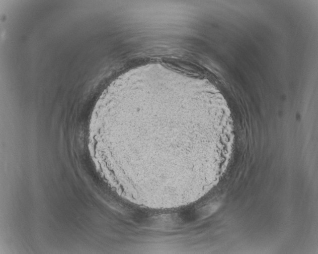 X0000067950499200605112129