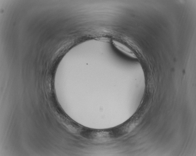 X0000067950501200605112129