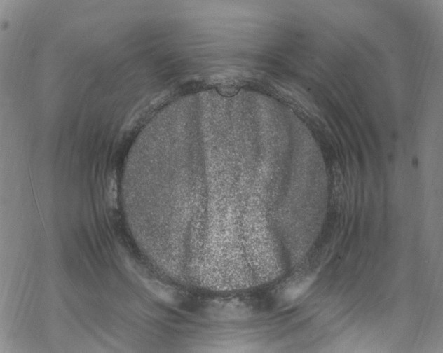 X0000067950502200605112129