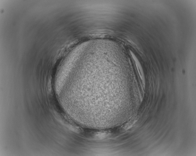 X0000067950504200605112129