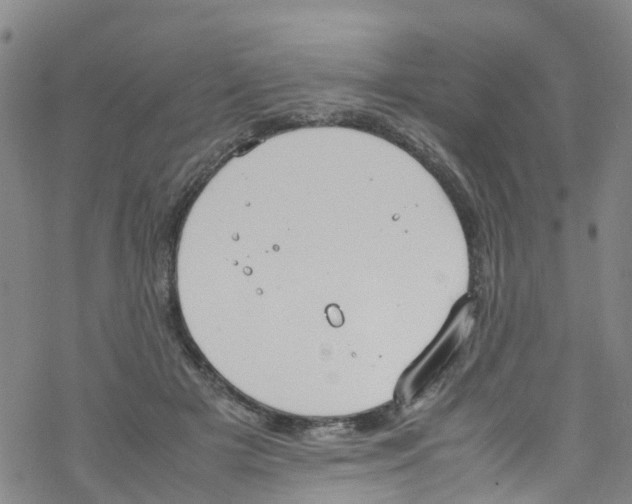 X0000067950505200605112129