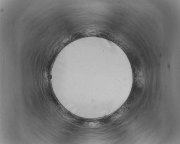 X0000067950506200605112129