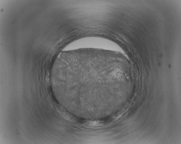 X0000067950507200605112129