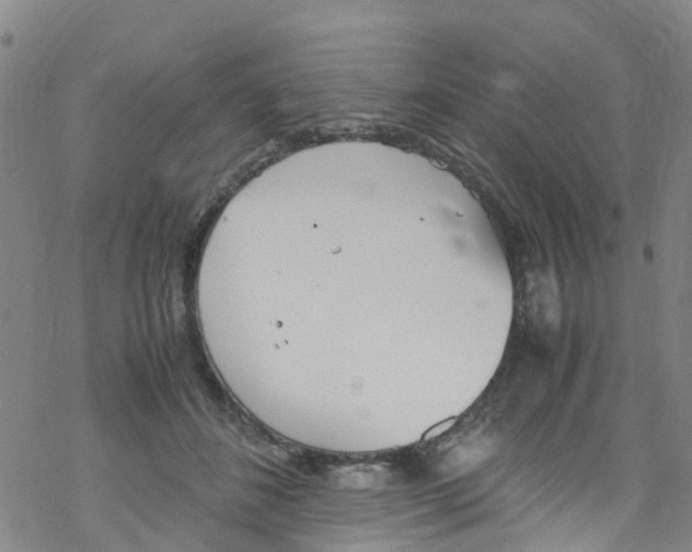 X0000067950508200605112129