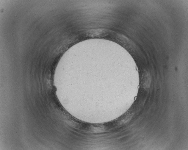 X0000067950510200605112129