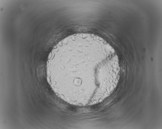 X0000067950511200605112129