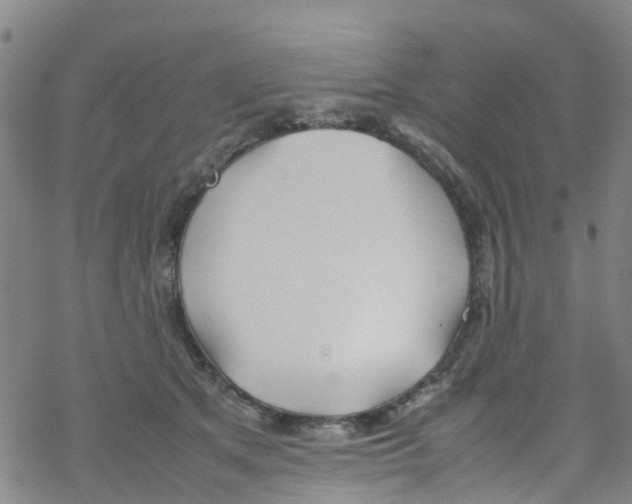 X0000067950513200605112129