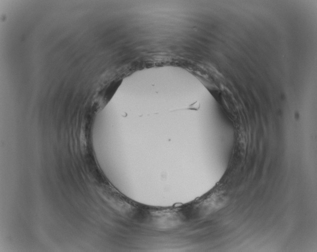 X0000067950516200605112129