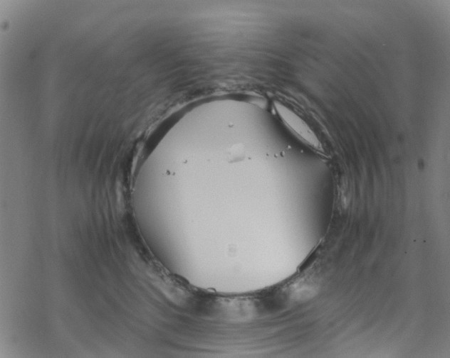 X0000067950520200605112129